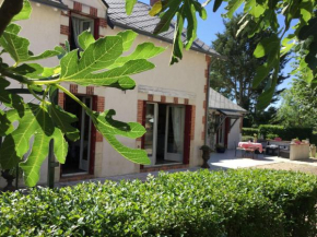 Maison de charme avec jardin et parking, proche Château & Zoo de Beauval - FR-1-591-160